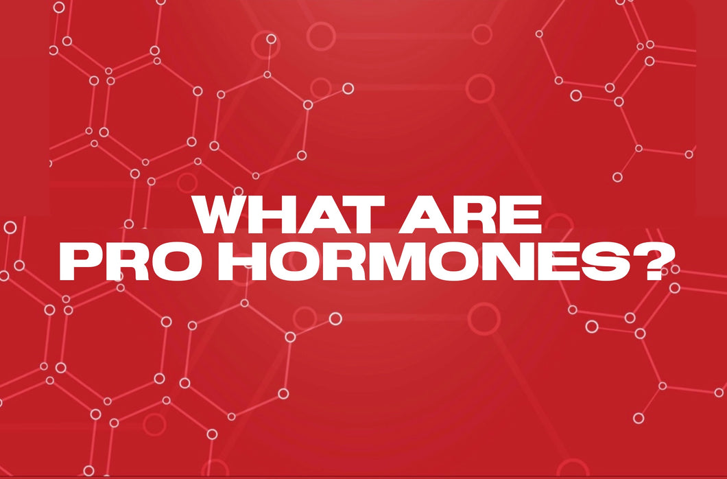 WHAT ARE PRO HORMONES?